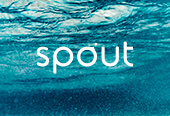 Spout